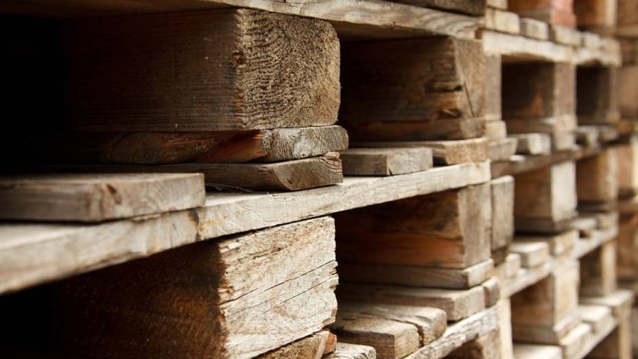 В Воронежском лесничестве запустили переработку низкотоварной древесины