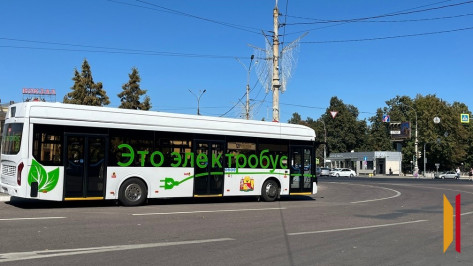 Электробус в Воронеже: что думают про новый транспорт водитель и пассажиры