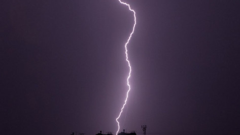 МЧС предупредило о грозе и сильном ветре в Воронежской области 24 июня