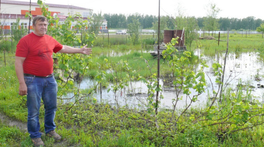 В Грибановке грунтовые воды затопили дома и огороды