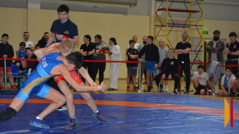 Богучарцы заняли 10 призовых мест на областном первенстве по греко-римской борьбе