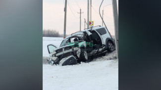 В Новой Усмани Воронежской области «Лада Ларгус» вылетела в снежный кювет