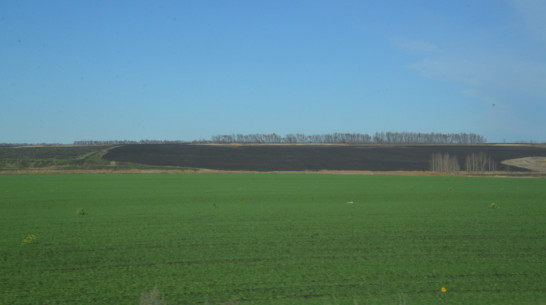 Воронежский «Продимекс» начал посевную стремительными темпами