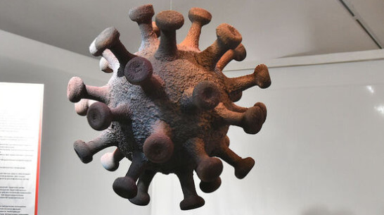 За сутки от COVID-19 скончались 68 жителей Воронежской области