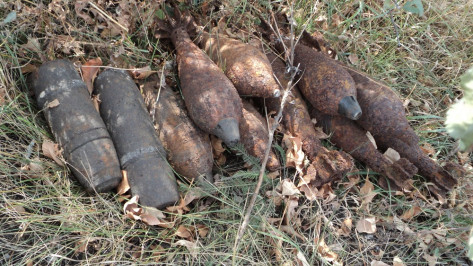 В Рамонском Задонье обнаружили боеприпасы времен войны