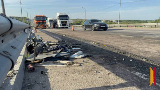 Число пострадавших в массовом ДТП в Воронежской области выросло до 14 человек