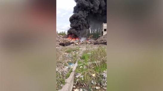 Встревожившего воронежцев поджигателя мусора оштрафовали на 20 тыс рублей