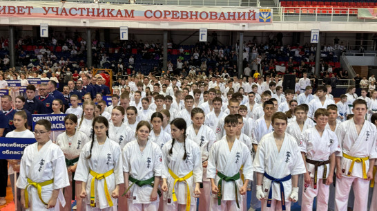 В Нововоронеже впервые прошли масштабные соревнования по киокусинкай
