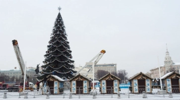 Главную елку Воронежа установили на деньги таинственного спонсора