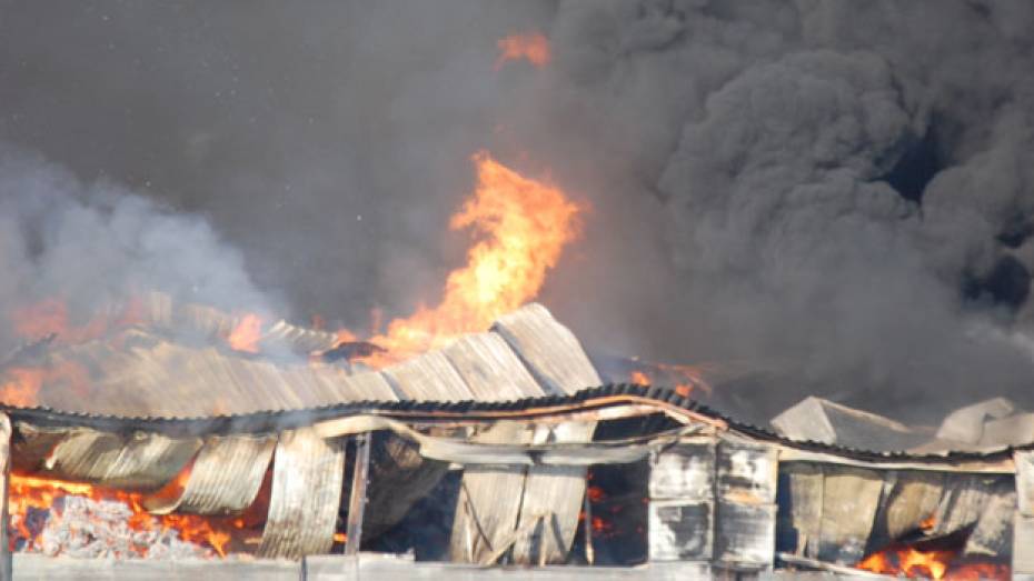 За 11 месяцев на пожарах погибло 166 жителей региона