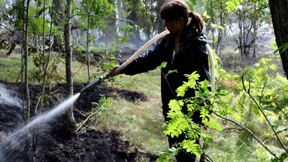  Пожарные – добровольцы Воронежской области в этом году спасли от огня ценностей на 25 млн рублей