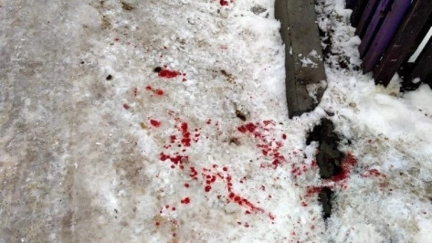 В Воронеже избили пенсионеров, помешавших отстрелу собак