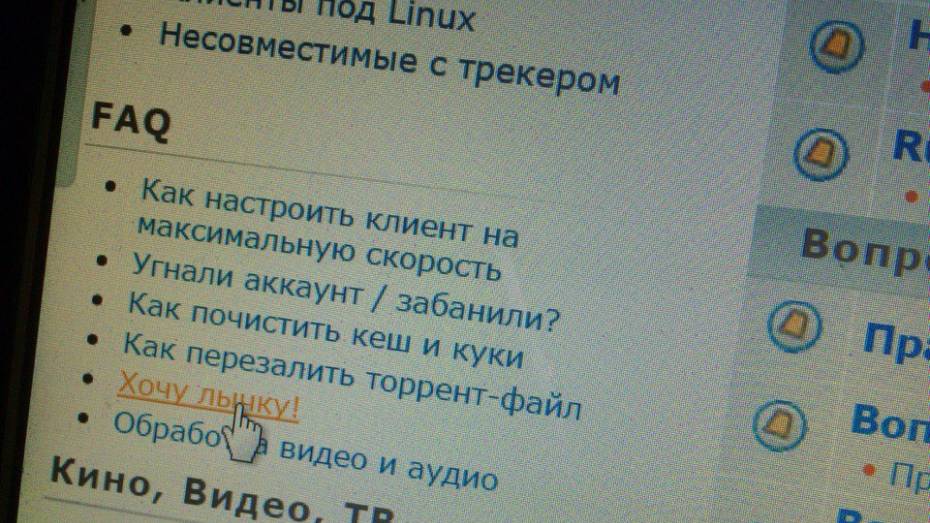 Житель Воронежской области попался на продаже скачанного с торрента Windows
