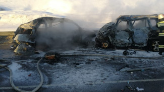 Количество погибших в ДТП с Lexus в Воронежской области возросло до 7 человек  