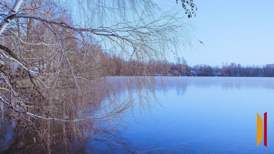 Воронежское МЧС выдало грамоту‎ провалившемуся под лед фотографу