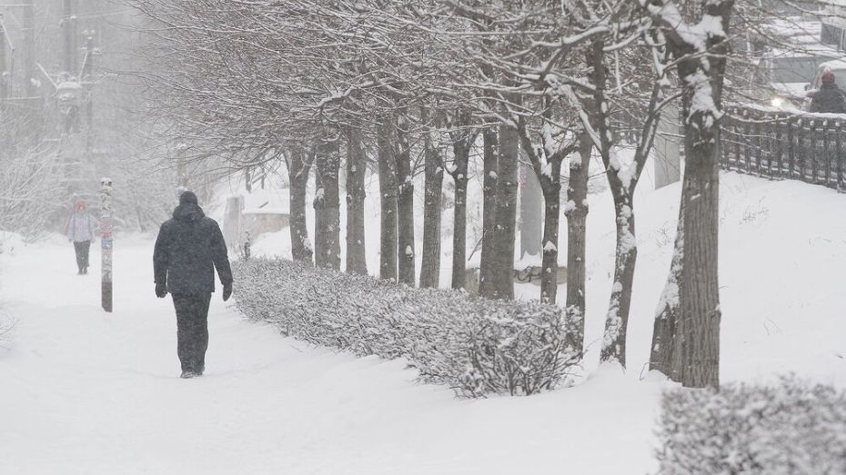 В ночь на 25 января из Воронежа вывезли самое большое количество снега за зиму