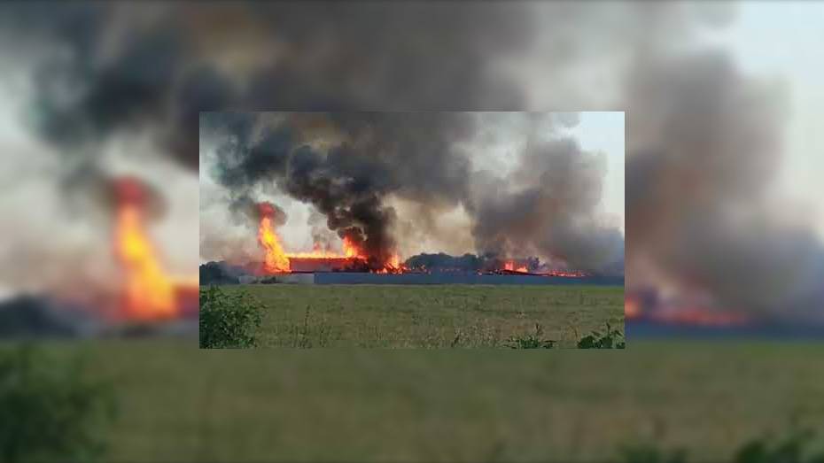 В Воронежской области на видео попал пожар в складе площадью 1,4 тыс «квадратов»