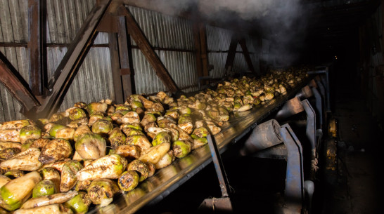 Сахар в Воронеже подешевел из-за перепроизводства сырья