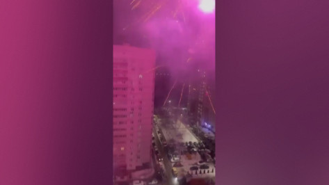 Неизвестные запустили салют во дворе многоэтажки в воронежском ЖК «Ботанический сад»: видео