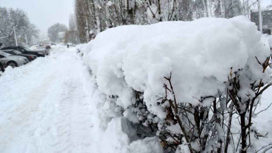 В 38 селах Воронежской области произошли отключения света из-за снегопада