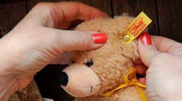 В Воронеже откроется музей игрушечных медведей