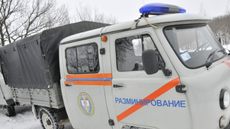 Посылки с муляжами гранат рассылали рядом с Воронежской областью