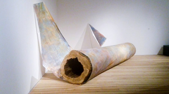 Московский художник привезет в Воронеж выставку о нацизме