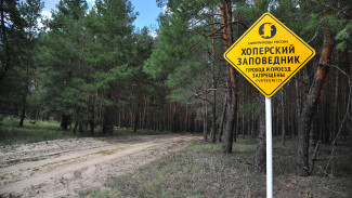 В Воронежской области вновь продлили запрет на посещение Хоперского заповедника