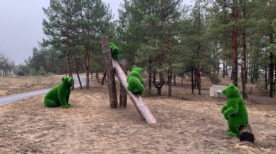 В Лисках в сквере на улице Олега Романова установили еще один арт-объект