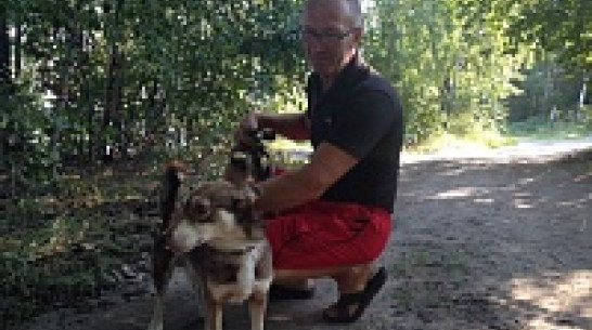 Воронежский зоозащитник передумал брать в Москву слепого щенка