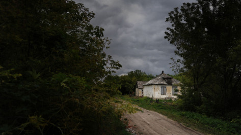 Жители 5 районов Воронежской области остались без света из-за непогоды