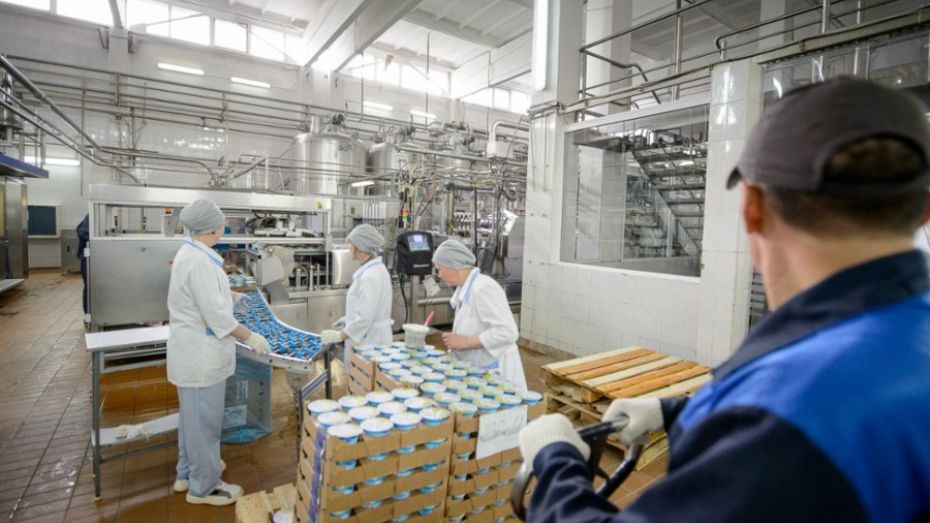 Воронежский молокозавод увеличил производство на 20% после введения санкций