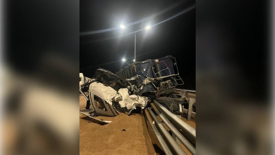 В Воронежской области грузовик врезался в стоящие на обочине тягачи: пострадал человек