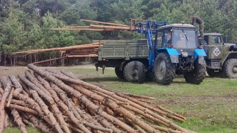 Из лискинского села Нижний Икорец участникам СВО передали 30 кубометров древесины
