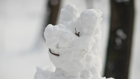 Гид РИА «Воронеж»: чем заняться в выходные 3 и 4 февраля