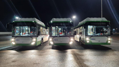 Колонна новых низкопольных автобусов прибыла в Воронеж