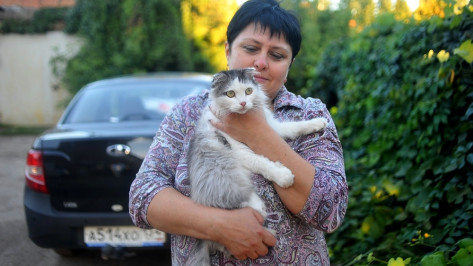 В Воронежской области кошка-верхолазка Пушуня вернулась домой