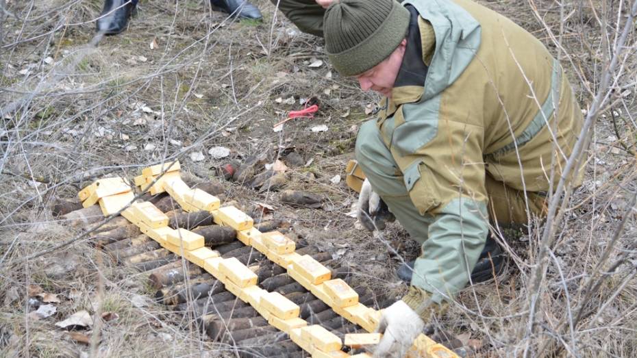В Богучарском районе уничтожили боеприпасы времен войны