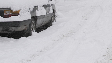 Воронежец умер в снегу возле автомобиля