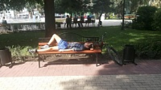 Воронежские синоптики пообещали на выходные теплую и солнечную погоду