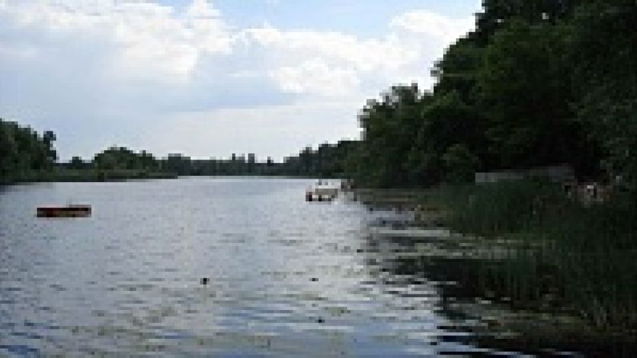 В 2014-м году в Воронежской области расчистят 14 километров русла реки Усмань 