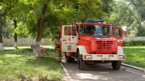 В Воронеже из-за пожара в многоквартирном доме эвакуировали 7 человек