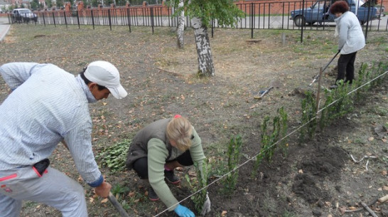 В Рамони озеленяют детский парк