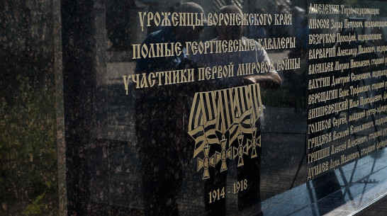 Воронежцы стали лучшими в проекте «Великая забытая война»