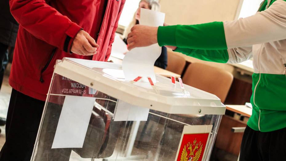 Совокупная явка на выборах Президента РФ в Воронежской области составила почти 76 процентов