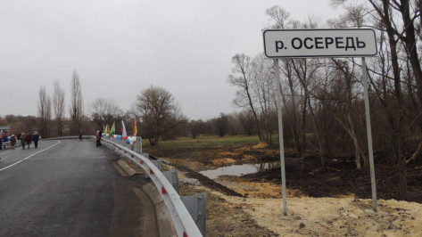 В Бутурлиновском районе Воронежской области построили мост через реку за 45 млн рублей
