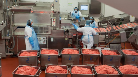 Немецкая компания построит в Хохольском районе мясоперерабатывающий завод 