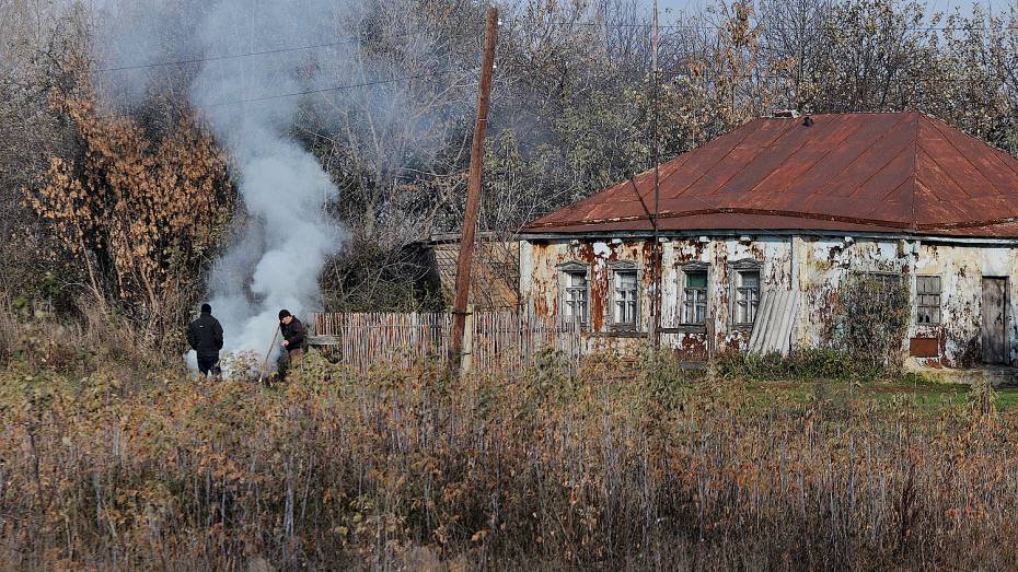 Воронежцев попросили высказаться о введении противопожарного режима