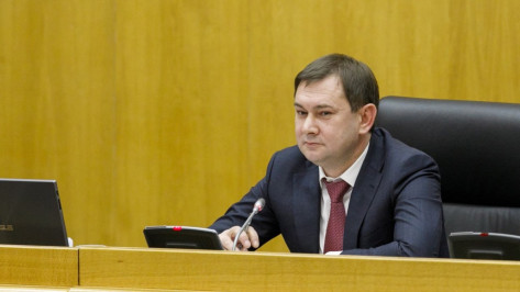Председатель Воронежской облдумы: в регионе усовершенствовали инвестиционное законодательство