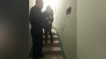 В Воронеже спасли кота, застрявшего в стене дома